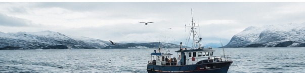 Puerto Montt y mar austral